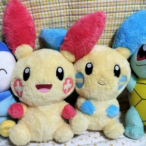 １円～ポケモン ぬいぐるみ ピカチュウ ポッチャマ ゼニガメ プラスル マイナン ミュウ アチャモ カイリュー ヒトカゲ フシギダネ 22点の画像3