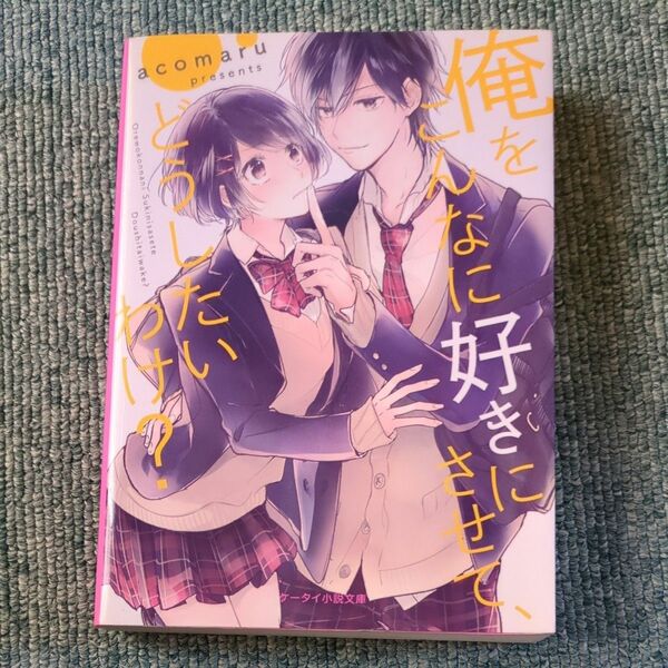 俺をこんなに好きにさせて、どうしたいわけ？ （ケータイ小説文庫　あ７－１３　野いちご） ａｃｏｍａｒｕ／著