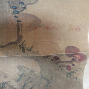 模写 明治 掛軸 掛け軸 中国 日本画 花鳥図 作者不明 100年位前から蔵にありの画像6