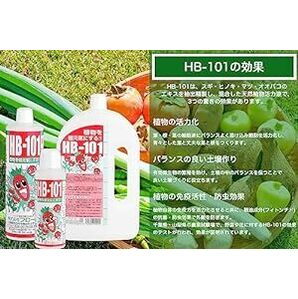 フローラ 植物活力剤 HB-101 緩効性 アンプル 10本入り 30ml(原液6mlサンプル付きの画像3