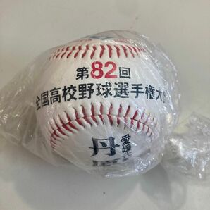 記念ボール 甲子園 ボール　第82回全国高校野球選手権大会　愛媛県代表　丹原高校　初出場