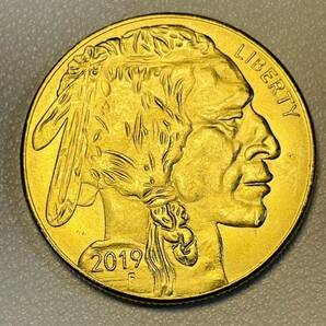 アメリカ 硬貨 古銭 アメリカン・インディアン 2019年 セントラルパーク動物園 水牛 ブラックダイヤモンド コイン 重15.63gの画像1