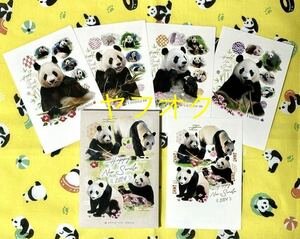  new goods * adventure world ja Ian to Panda New Year’s card set * good ..... maple .