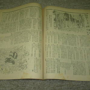 カストリ雑誌）オールロマンス・昭和23年4月創刊号＊椋鳩十・小野佐世男＊探偵怪奇・官能・愛情小説の画像6