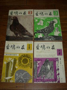 愛鳩の友・1962年２～５月号・4冊★ハトの品評会、飼い方、読物