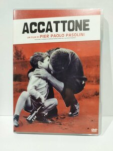 【DVD】ACCATTONE/アッカトーネ　PIER PAOLO PASOLINI/ピエル・パオロ・パゾリーニ【ac02r】