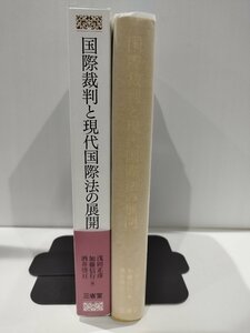 国際裁判と現代国際法の展開　浅田正彦/加藤信行/酒井啓亘　三省堂【ac03r】