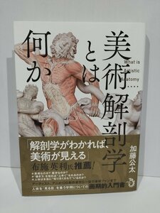 美術解剖学とは何か　加藤公太　トランスビュー【ac03r】