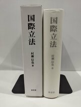 国際立法 　―国際法の法源論―　村瀬信也　著　東信堂　刊【ac03r】_画像4