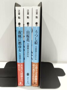 【3冊セット】落暉に燃ゆる 大岡裁き再吟味/山桜花 大岡裁き再吟味/うつし絵 大岡裁き再吟味　辻堂魁　講談社文庫 【ac05d】