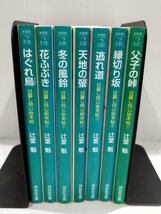 【全7巻セット】辻堂魁　日暮し同心始末帖　はぐれ烏/花ふぶき/冬の風鈴/天地の螢/逃れ道/縁切り坂/父子の峠/　祥伝社文庫【ac05d】_画像3