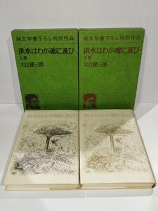 [ top and bottom volume set ]. water is .. soul . and Ooe Kenzaburo Shinchosha [ac04o]