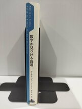 数学が見つかる近道　マーカス・デュ・ソートイ　新潮社【ac03f】_画像3