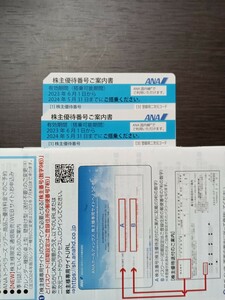 【送料無料】ANA 株主優待券2枚です。