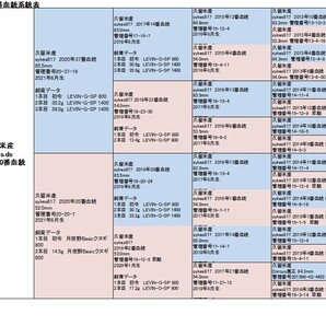 オオクワガタ ペア オスB品83.0mm メス52.0mm 国産 久留米市産 大型血統 成虫 自家ブリード個体 2023年6月生まれ 即ブリード可能の画像5