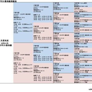 オオクワガタ ペア オスB品82.0mm メス50.5mm 国産 久留米市産 大型血統 成虫 自家ブリード個体 2023年6月生まれ 即ブリード可能の画像5