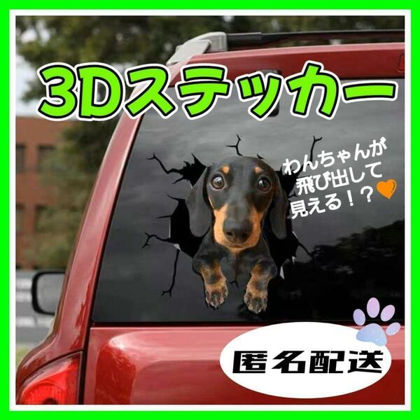 3Dステッカー　車　犬　可愛い　面白いステッカー ダックス シール カー用品　ダックスフント　ダックスフントステッカー　飛び出す