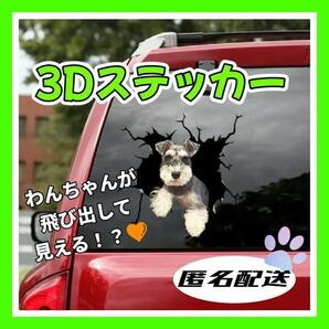 シュナウザー　3Dステッカー　車　犬　可愛い　面白い　車　飛び出す　ステッカー　ミニチュアシュナウザー　犬ステッカー　カー用品