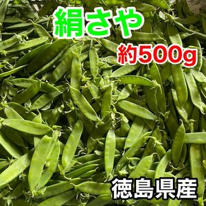 徳島県産 絹さや キヌサヤ きぬさや 朝採り 野菜 約500g