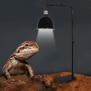 LDL574# reptiles lamp stand terrarium lizard chameleon lizard frog snake bi burr um light stand 