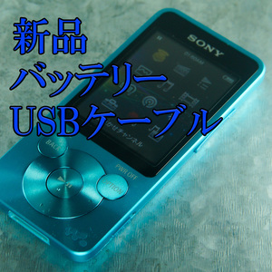 美品　 動作良好 SONY ウォークマン NW-S14 8GB Bluetooth バッテリー新品交換　送料無料　2008