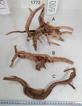 商品名：流木ブランチ系 (A)Ｗ３０ｃｍ(B)Ｗ２９cm(C)ｗ２９cm重量(A)約２５４ｇ(B)約１１８ｇ(C)８１ｇ・３本・商品１７７２_画像1