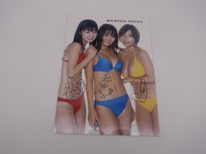 生写真 MEGUMI 小倉優子 市川由衣 WPB SPECIAL PRESENTS 水着