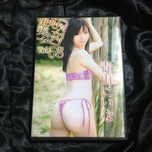 特価アイドルイメージDVD　青山にいな _画像1