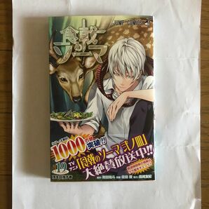 食戟のソーマ　１９ 初版帯付き