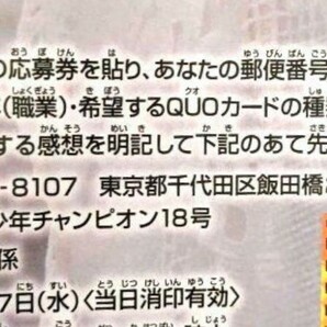 7枚 日向坂46 齊藤京子 週刊少年チャンピオン QUOカード クオカード プレゼント応募券の画像3