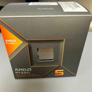 RYZEN5 8600G