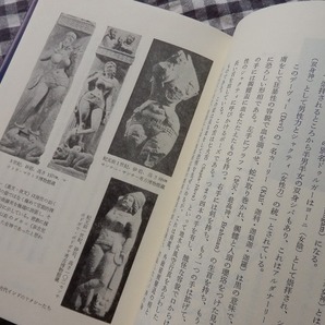 ◆【ダキニ信仰とその俗信】笹間良彦 第一書房 昭和63年の画像2