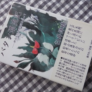 ◆【バタン漂流記　神力丸巴丹漂流記を追って】臼井洋輔　叢文社 2001年