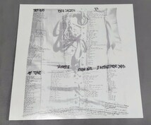 レア 美品LP JANES ADDICTION Janes Addiction 1987 USA ジェーンズ・アディクション_画像4