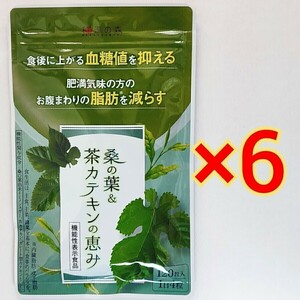 和漢の森　桑の葉＆茶カテキンの恵み　120粒×6袋血糖値　脂肪　ダイエット サプリ サプリメント #漢方セレクト