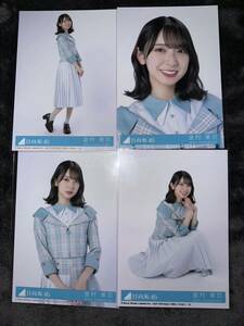 金村美玖 僕なんか 日向坂46 コンプ 封入生写真(検 君はハニーデュー 乃木坂46 櫻坂46 チャンスは平等 何歳の頃に戻りたいのか？