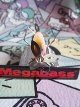 Megabass Baby X-PLOSE TRGGER BELLY メガバス ベビー Ｘプローズ_画像5