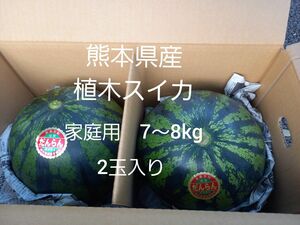 熊本県産植木スイカ　家庭用2玉入り(1玉7～8kg程度)