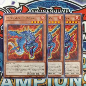 v820☆遊戯王☆ エヴォルダー・リオス 3枚 ノーマル DUNE 在庫3セット