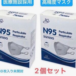 【NIOSH認証】N95マスク 立体型 SQ100G 10枚入 ×2箱
