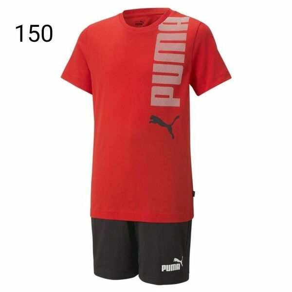 新品　PUMA　半袖　Tシャツ　男の子　150　ハーフパンツ　セットアップ