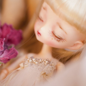 ハルモニアブルーム Valerian メイクカスタム ヘッドのみ *camellia*の画像7