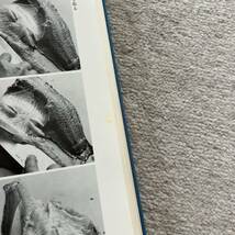 ■送料込み/即決■造り 魚とその扱い■西健一郎/刺身/お造り/調理方法■_画像9