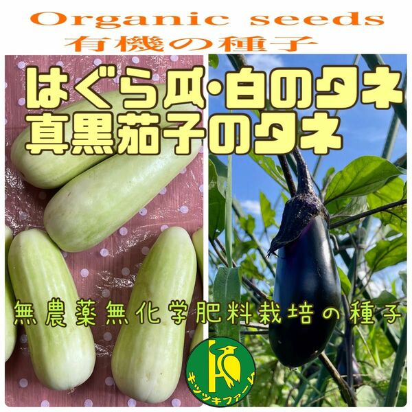 はぐら瓜（白）15粒と真黒茄子20粒のタネ　固定種・無農薬無化学肥