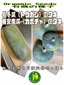 長冬瓜のタネ10粒と東京南瓜のタネ7粒　無農薬無化学肥料栽培のタネ