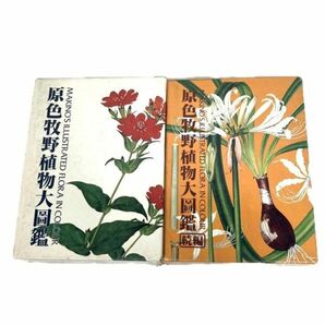 仙102【2冊】原色牧野植物大図鑑 正・続編 2冊セット 北隆館 牧野富太郎 ハードカバー ビニールカバー付き 野草/草花/種類の画像6