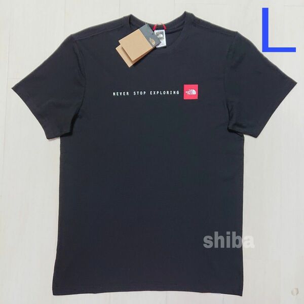 THE NORTH FACE ノースフェイス　tシャツ 半袖 トップス 人気 ボックスロゴ 黒 ブラック NSE 海外Lサイズ