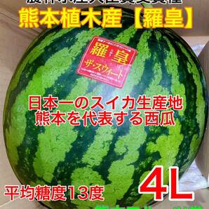 『今期初出品』熊本産【羅皇】秀品4Lサイズ（1玉9〜10kg）熊本フルーツ堂1の画像1