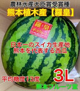  Kumamoto production [..] preeminence goods 3L size (1 sphere 8~9kg) Kumamoto fruit .6