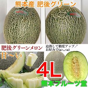 熊本産 高級メロン肥後グリーン【秀品4L 2玉約4.5k箱込】熊本フルーツ堂3